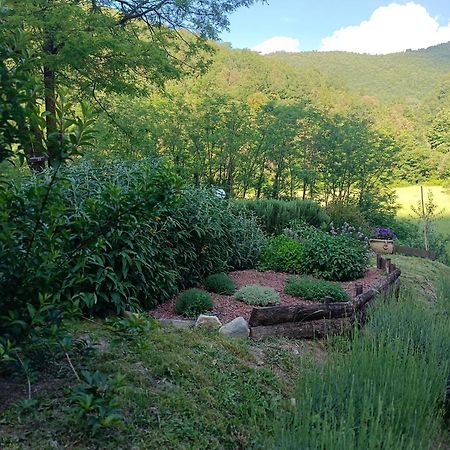 Locanda Di Alberi Borgo San Lorenzo Bagian luar foto