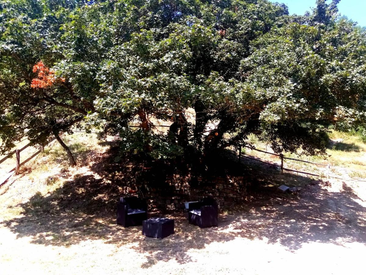 Locanda Di Alberi Borgo San Lorenzo Bagian luar foto