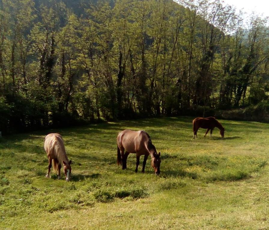 Locanda Di Alberi Borgo San Lorenzo Bagian luar foto