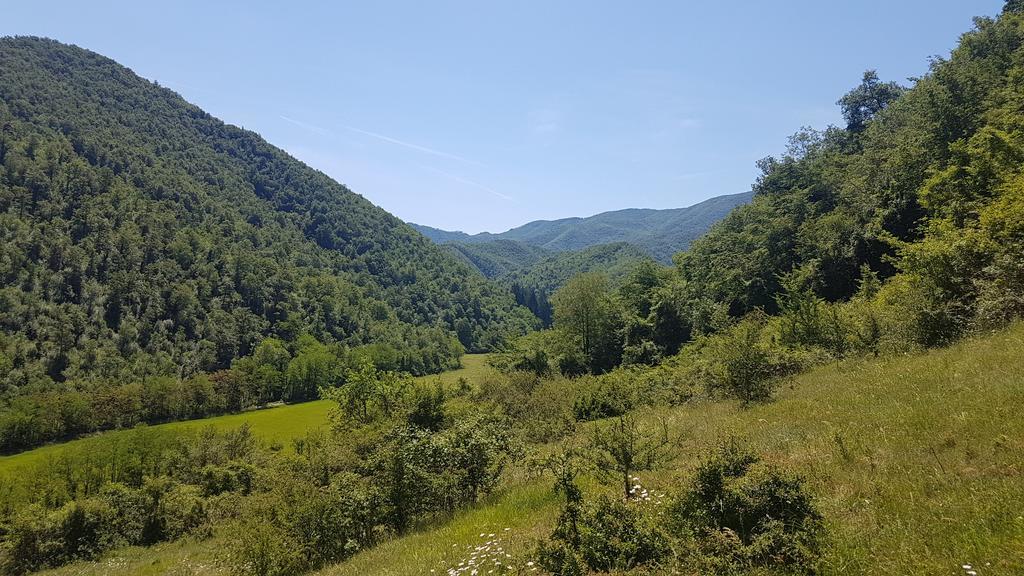 Locanda Di Alberi Borgo San Lorenzo Bagian luar foto